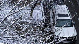 “Ўзгидромет” 23 декабрда қандай об-ҳаво бўлишини маълум қилди