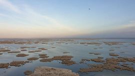 Оролбўйида Марс сайёраси манзарасини эслатувчи нуқталарда глемпинг зоналари ташкил этилади