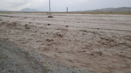 Ўзбекистоннинг 9 та вилоятида сел хавфи эълон қилинди