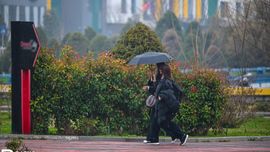 Ўзбекистоннинг айрим ҳудудларида 9 март куни қор ёғиши мумкин