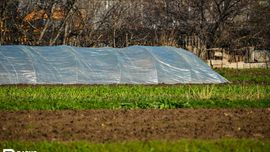 Чем будет заниматься новая Узбекская академия сельхоз наук