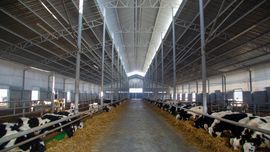 Андижан поможет в обучении афганских сельхоз специалистов 