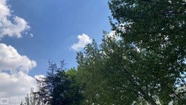 Ўзбекистонда дам олиш кунлари ҳаво ҳарорати кўтарилади