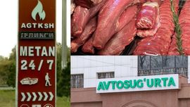 Бир йилда автосуғурта 3 баравар, метан 30 фоизга қимматлади: МБ нархлар таҳлилини эълон қилди