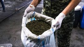 Треть наркопреступлений в Узбекистане совершает молодежь