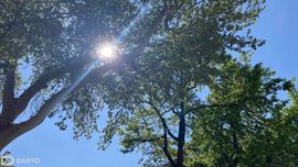 Дам олиш кунлари Ўзбекистонда 35 даражагача иссиқ бўлиши кутилмоқда