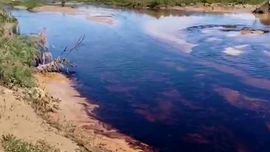 Сурхондарёда нефть дарё ўзанига оқиб кетди (видео)