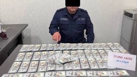 Тошкент вилоятида тадбиркордан 63 минг доллар талаб қилган ФВБ ходими қамоққа олинди