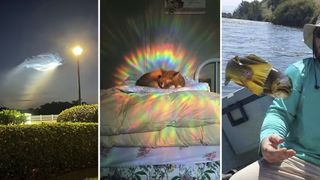 “Fotoshop emas”: haqiqiyligiga ishonish qiyin bo‘lgan real suratlar