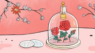 Hijoma nima uchun qo‘llanadi? U haqiqatda shifobaxshmi, kimlarga mumkin emas?