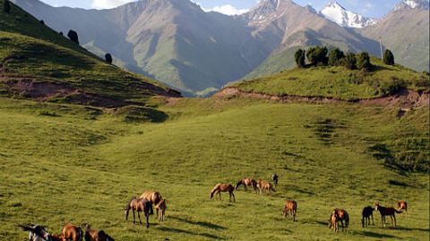 Германия телеканалида Ўзбекистон ҳақида фильм намойиш этилди