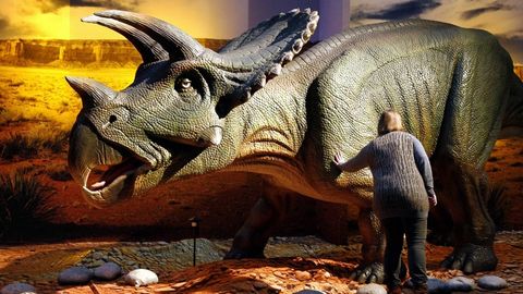 Chili milliy bog‘idagi muzlikda 46 ta dinozavr qoldiqlari topildi