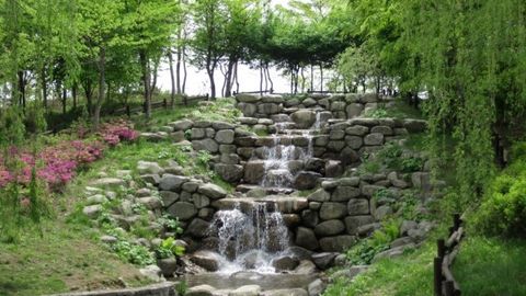 Сеул мэри: «Тошкентдаги Сеул боғи Ўзбекистон ва Жанубий Корея алоқаларини янада мустаҳкамлайди»