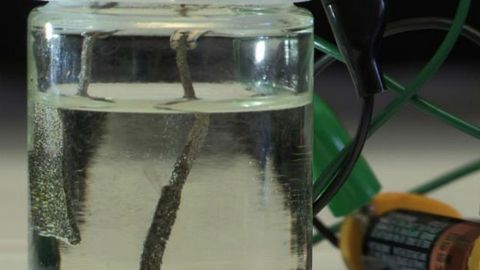 2015-yilda Toyota va Honda vodorod dvigatelida yuradigan avtomobillarini chiqarmoqchi