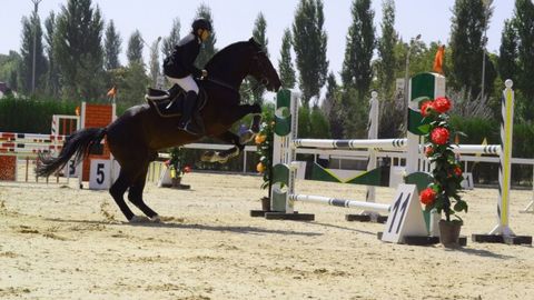 Toshkentdagi ippodromni 2015-yil Navro‘z bayramida ochish rejalashtirilmoqda