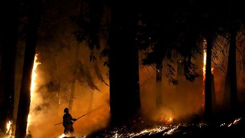 AQShda samolyot o‘rmon yong‘inini o‘chirish vaqtida halokatga uchradi