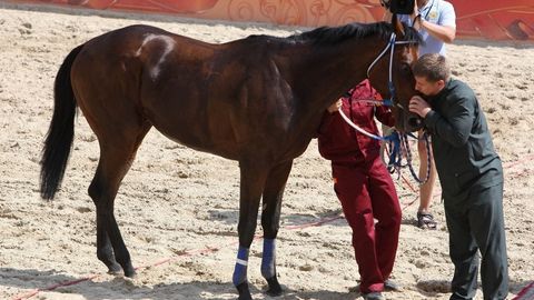 Германияда Рамзан Қодировнинг отларига мукофот пулларини беришга қўйилган тақиқ олиб ташланди