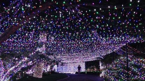 Avstraliyada milliondan ortiq chiroq bilan bezatilgan uy Ginnesning rekordlar kitobiga kirdi (video)