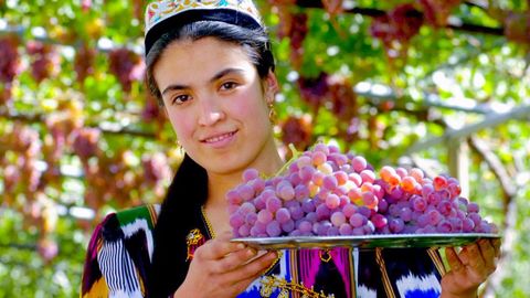 O‘zbekistonda yanvar—sentabr oylarida 2,4 ming gektar maydonda yangi bog‘lar yaratildi