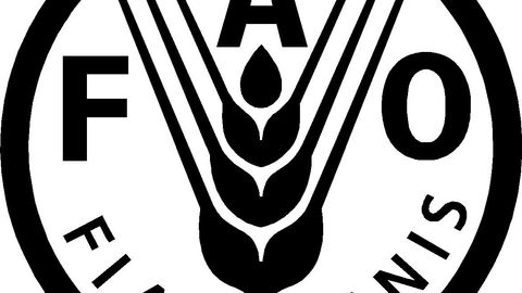 БМТ Озиқ-овқат ва қишлоқ хўжалиги ташкилотининг Ўзбекистондаги фаолиятини ташкил этиш чора-тадбирлари тасдиқланди