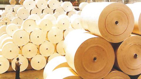 Ўзбекистонлик олимлар антимикроб хусусиятларига эга қоғоз ихтиро қилди