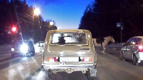 Rossiyada ot mashinani urib yubordi (video)