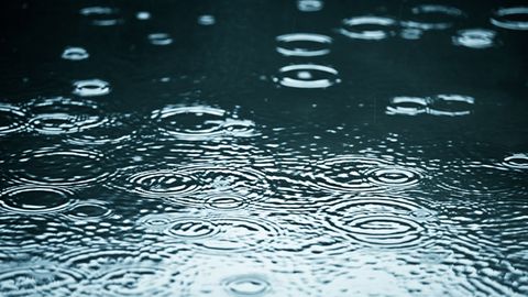 Hafta davomida O‘zbekiston bo‘ylab yomg‘irli ob-havo kutilmoqda