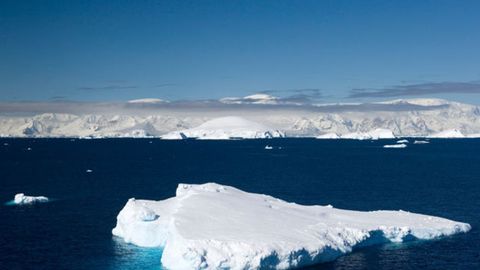 Малайзиянинг йўқолган «Боинг»и Антарктидага учиб кетган бўлиши мумкин