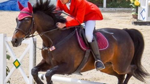 Тошкентда от спорти бўйича Жаҳон кубогининг Марказий Осиё лигаси I саралаш босқичи ўтказилди