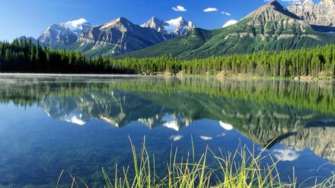 Шимолий ва Жанубий Америка тахмин қилинганидан 10 миллион йил аввал бирлашган