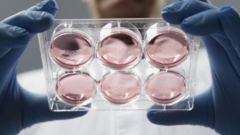 АҚШ ҳарбийлари адашиб, куйдиргининг тирик спораларини Жанубий Кореяга юборди