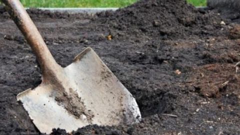 Россияда қабристон ишчиси гўрни очиб, тобутдан iPhone’ни чиқариб олди