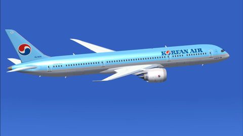 Janubiy Koreya sudi Korean Air kompaniyasi vitse-prezidentini ozod etish haqida qaror chiqardi