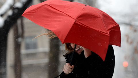 AQShning Arkanzas shtatida kuchli shamol oqibatida 2 kishi halok bo‘ldi