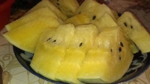 O‘zbekistonda sariq rangli tarvuz paydo bo‘ldi