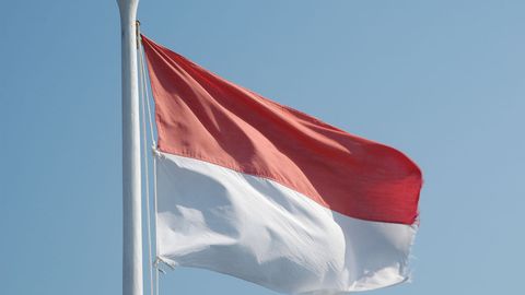 Indoneziya Rossiya va yana 44 ta mamlakat uchun vizasiz rejimni joriy qildi