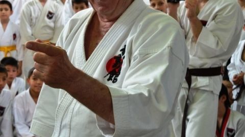 Toshkentda Iliya Yorganing karate bo‘yicha amaliy seminari yakunlandi