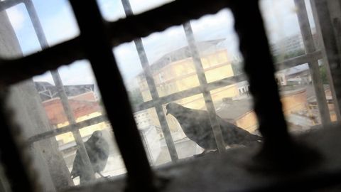 Kot-d’Ivuarda 50 ga yaqin qullikdagi bolalar ozod etildi
