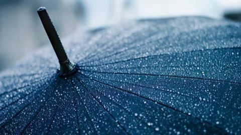 Dam olish kunlari O‘zbekistonning ba’zi viloyatlarida yomg‘ir yog‘adi