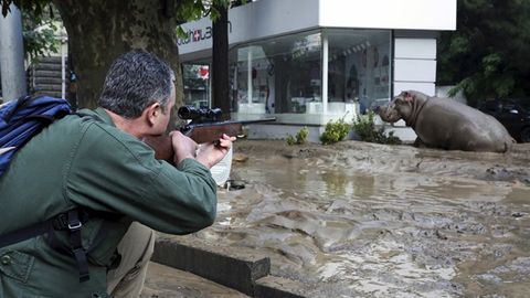 Gruziya moliya vaziri Tbilisidagi suv toshqini yetkazgan zararni 18 mln dollarga baholadi