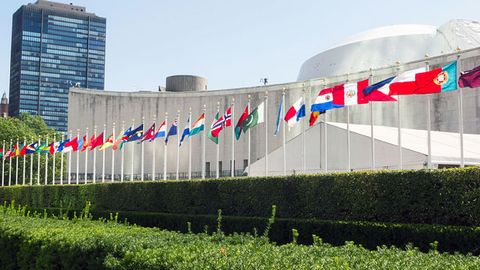 BMTning Nyu-Yorkdagi qarorgohida kanalar paydo bo‘lgani tufayli xodimlar evakuatsiya qilindi