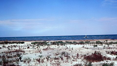 Arab moliyaviy institutlari Orol dengizi havzasidagi ekologik halokat oqibatlarini yengillashtirish uchun 360 million dollar ajratadi