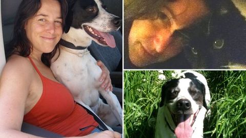 Niderlandiyalik ayol mushuk-eri vafotidan keyin itiga turmushga chiqmoqchi