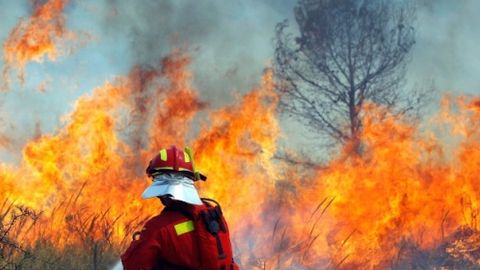 Ispaniyada ming gektar o‘rmon yonib ketdi, yuzlab odamlar ko‘chirildi