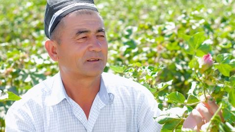 Vazirlar Mahkamasi majlisida noqulay ob-havoning g‘o‘za hosiliga salbiy ta’sirini kamaytirish bo‘yicha topshiriqlar berildi