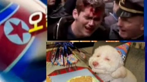 KXDR televideniyesi AQShdagi qashshoqlik haqidagi syujetda kulib turgan it tasviridan foydalandi (video)