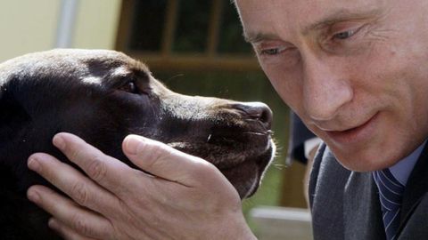 Putin qirg‘izistonlik qizchaga kuchukcha sovg‘a qiladi