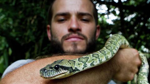 Olimlar: bo‘g‘ma ilon qurbonlari bo‘g‘ilishdan emas, qon aylanishining to‘xtashidan halok bo‘ladi 