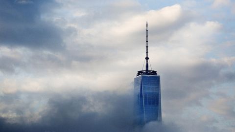Нью-Йоркнинг энг машҳур осмонўпар биносида йўқолиб бораётган жониворлар тасвири пайдо бўлди