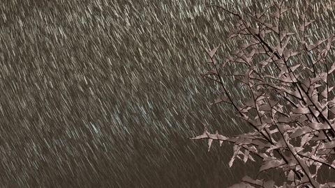 Kanada g‘arbida yoz oxirida birinchi qor yog‘di